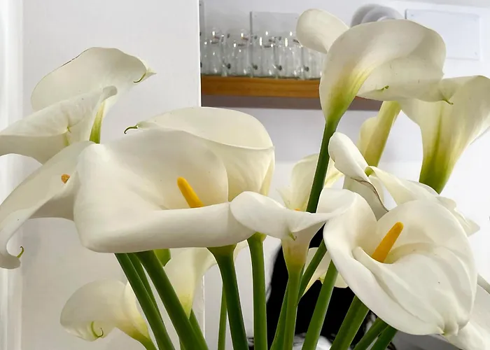 Romandre Hotel Alaior