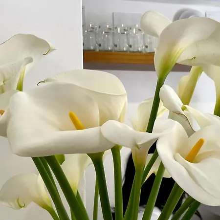 Romandre Hotel Alaior